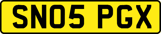 SN05PGX