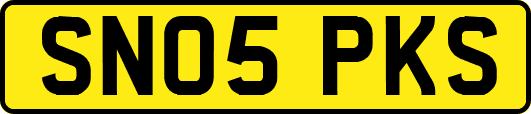 SN05PKS