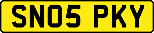 SN05PKY