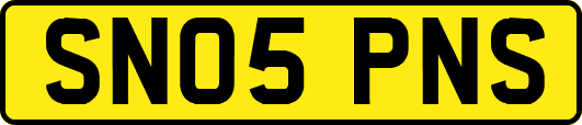 SN05PNS