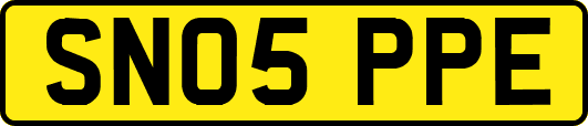 SN05PPE