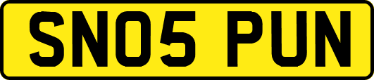 SN05PUN