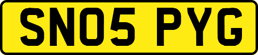 SN05PYG