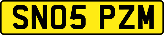 SN05PZM