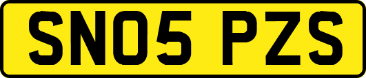 SN05PZS