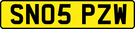 SN05PZW
