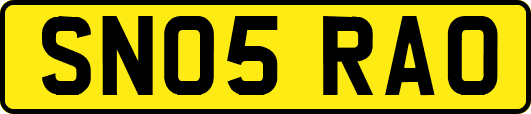 SN05RAO