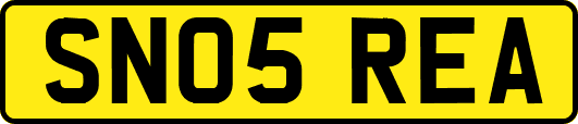 SN05REA