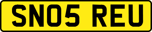 SN05REU