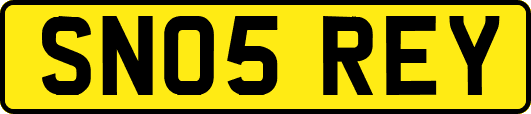 SN05REY