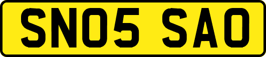 SN05SAO