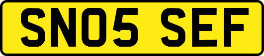 SN05SEF