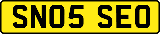 SN05SEO