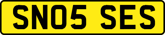 SN05SES