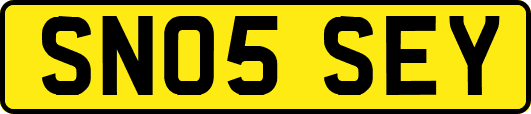 SN05SEY