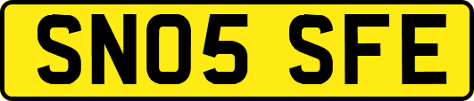 SN05SFE