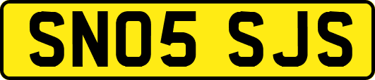 SN05SJS