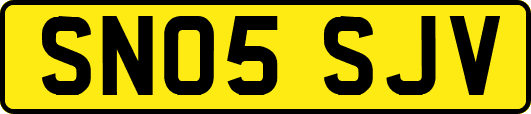 SN05SJV