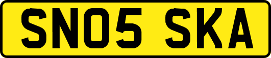 SN05SKA