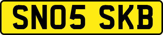 SN05SKB