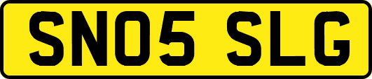 SN05SLG