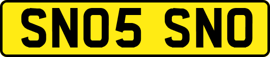 SN05SNO