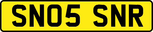 SN05SNR