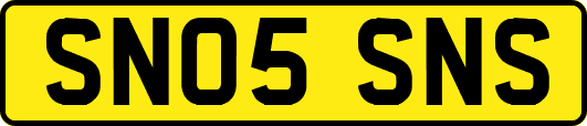 SN05SNS