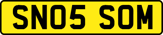 SN05SOM