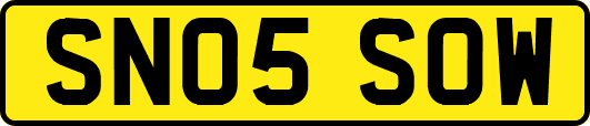 SN05SOW
