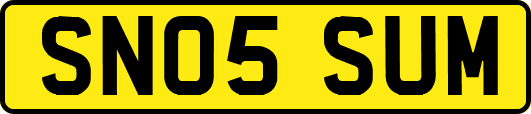 SN05SUM