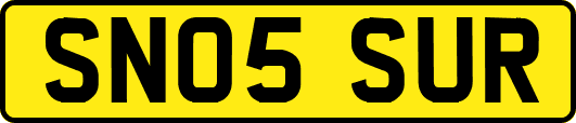 SN05SUR