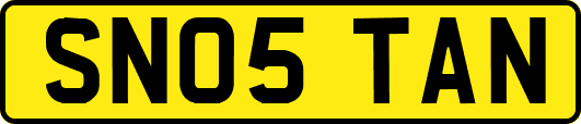 SN05TAN