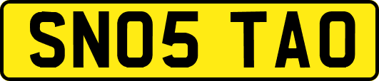 SN05TAO