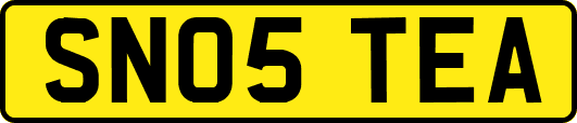 SN05TEA