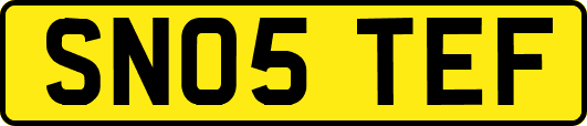 SN05TEF