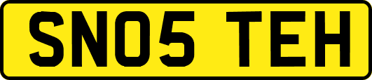 SN05TEH