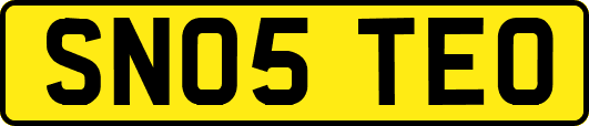 SN05TEO