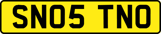 SN05TNO
