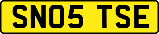 SN05TSE