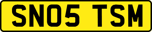 SN05TSM