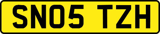 SN05TZH
