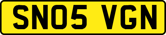 SN05VGN