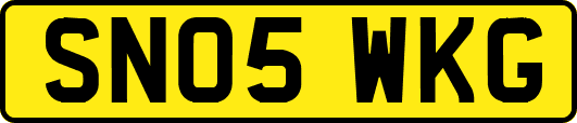 SN05WKG
