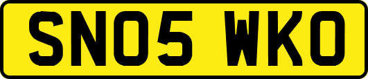 SN05WKO