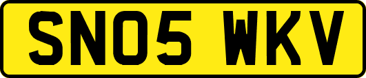 SN05WKV