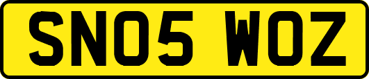 SN05WOZ