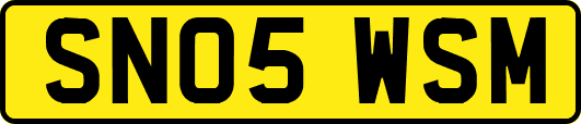 SN05WSM