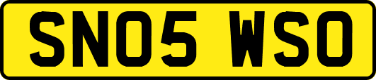 SN05WSO