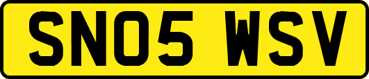 SN05WSV